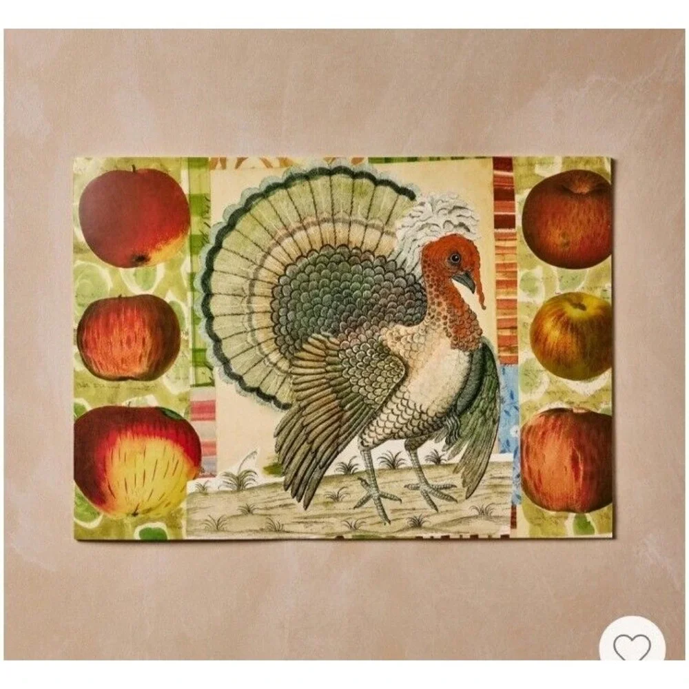 John Derian Target Kids Fall Thanksgiving Turkey Coloring Placemat PRIORITY SHIP